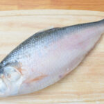 Hilsha Fish